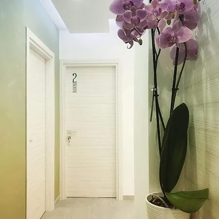 Frühstückspension Barù 4*