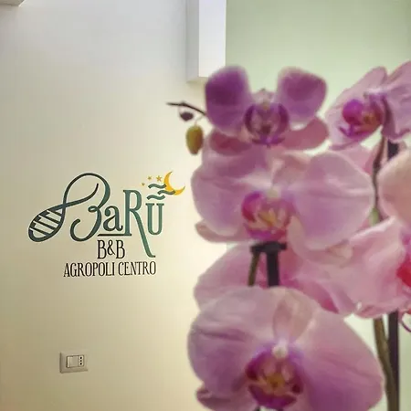 Baru Bed & Breakfast 2*