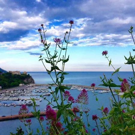 Baru 2* Agropoli
