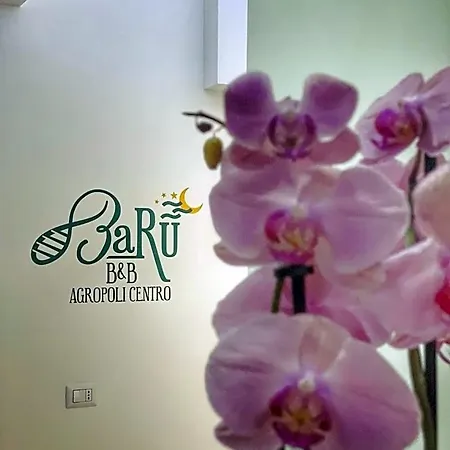 Bed & Breakfast Barù Agropoli